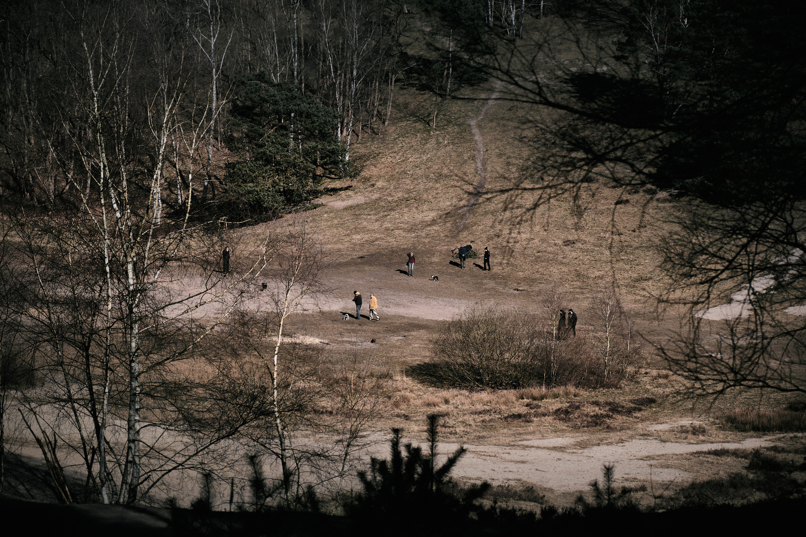 Hundeauslauf