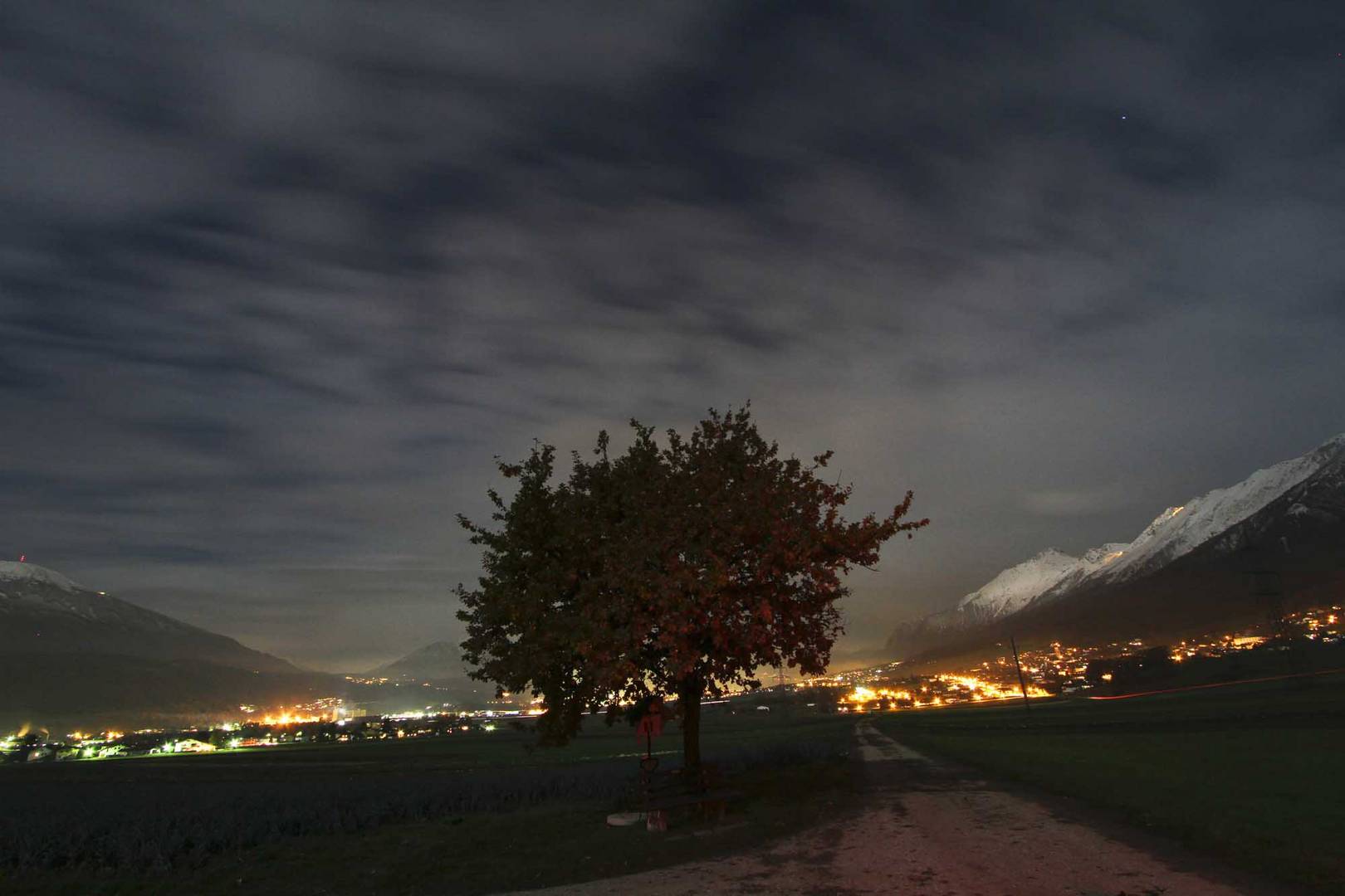 Hundebaum (von meinem Nando *g*) bei Nacht