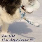 Hundebesitzer, bitte lesen !!!