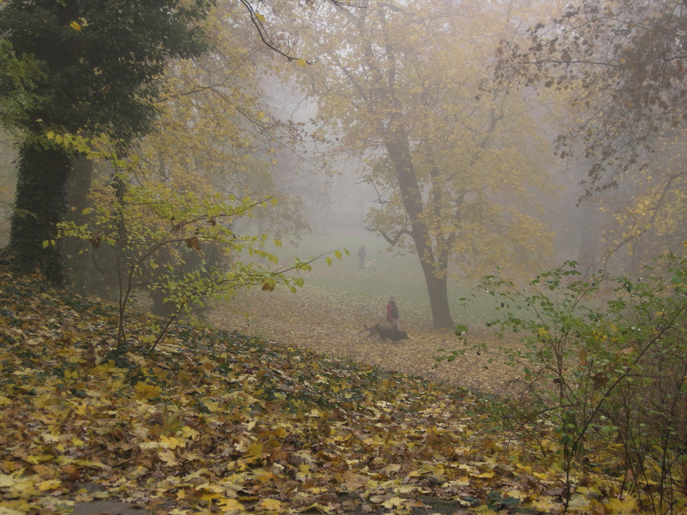 Hundebesitzer müssen auch bei Nebel aufstehen