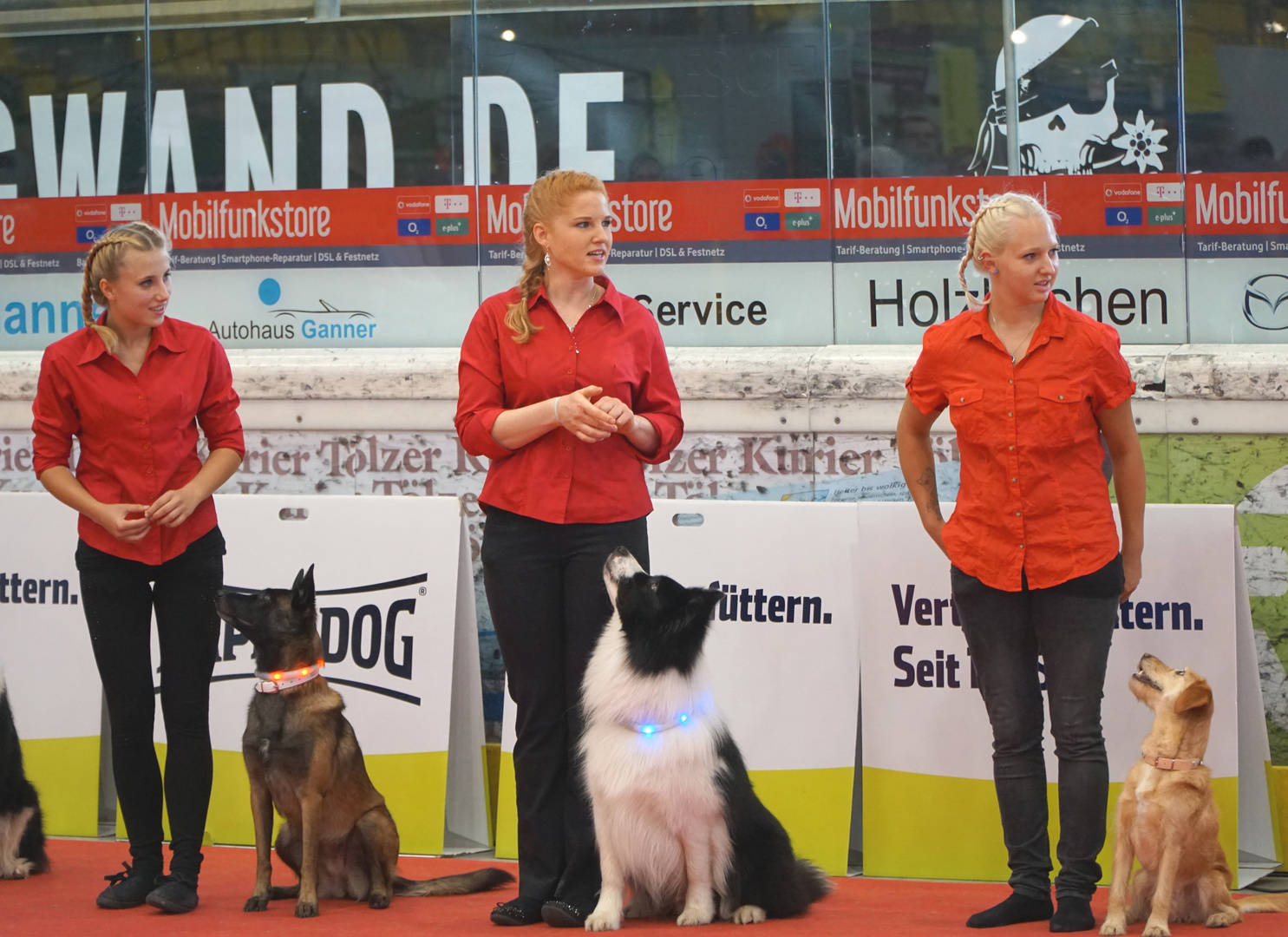 Hundedressur