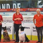 Hundedressur