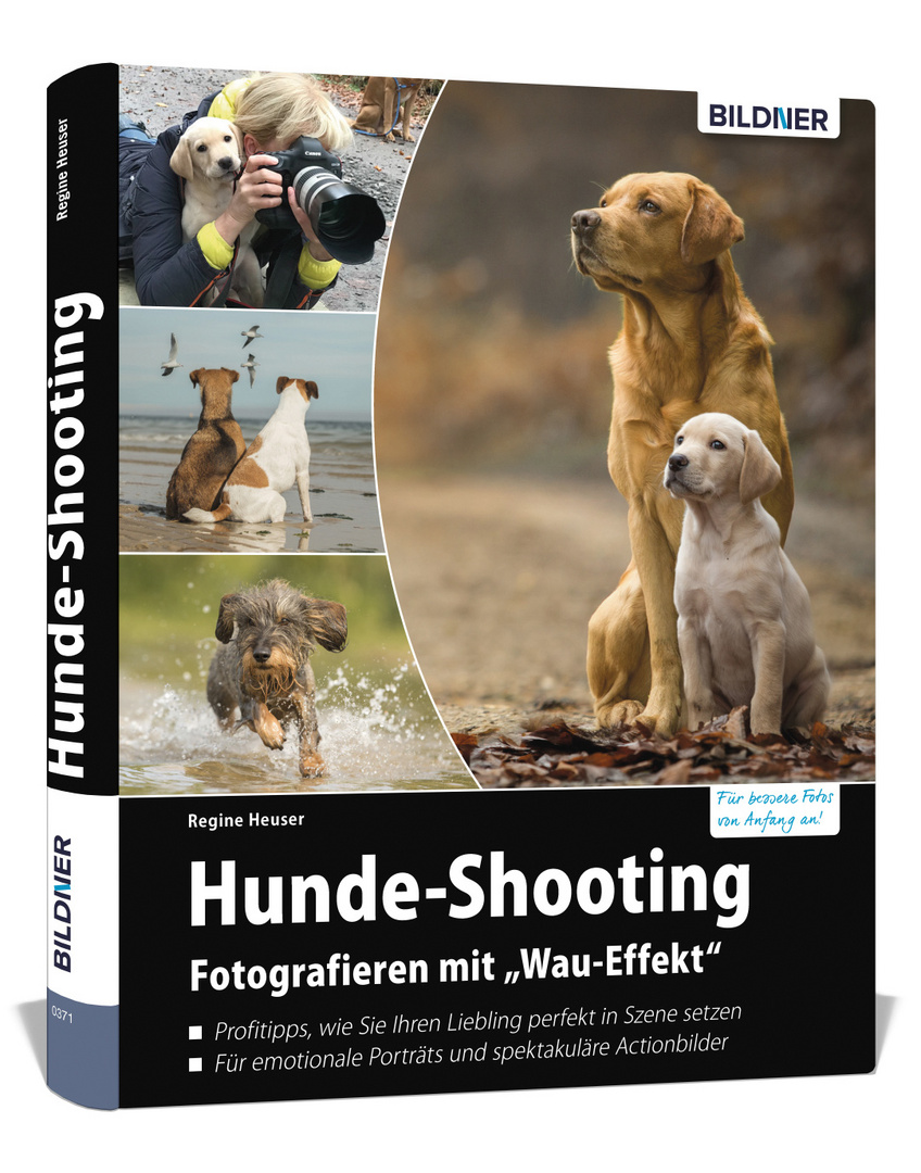 Hundefotografie