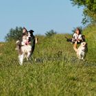 Hundefotografie-Workshop...