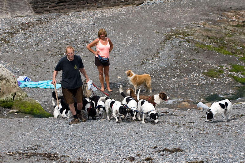 Hundefreunde aufpassen ....