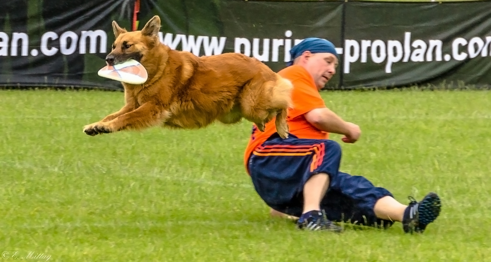 Hundefrisbee