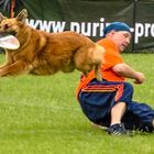 Hundefrisbee