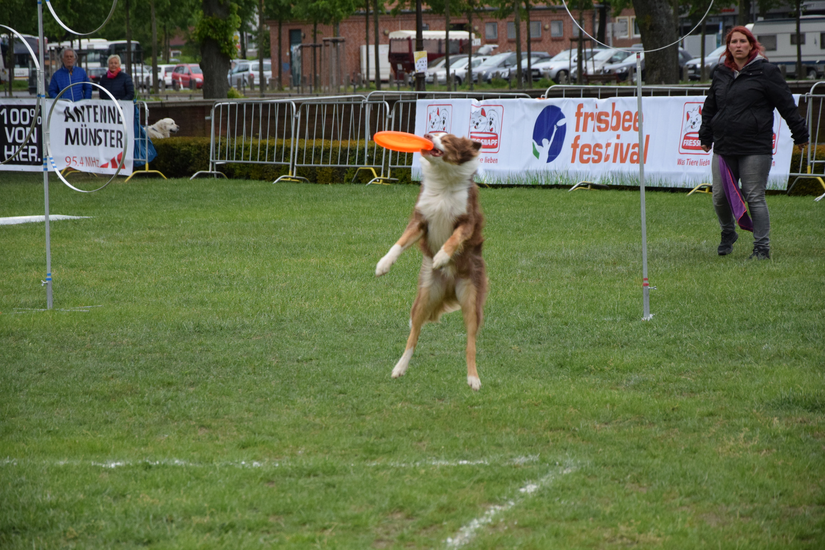 Hundefrisbee ist auch Sport!!