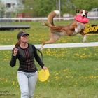 Hundefrisbee leicht gemacht