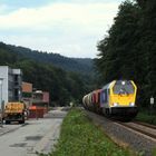 Hundefutter auf der Odenwaldbahn