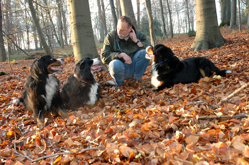 Hundegeschichten