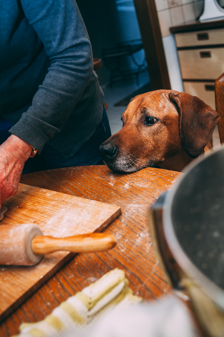 Hundekekse backen mit Luca und ihrer Menschen Oma