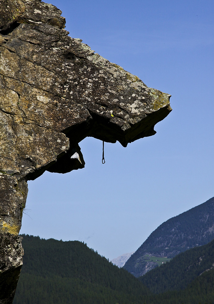 Hundekopf mit Expressschlinge