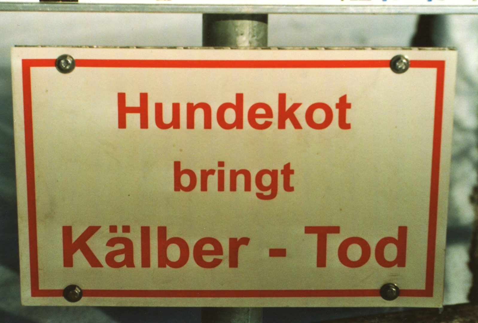 Hundekot bringt Kälber - Tod