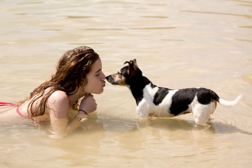 Hundekuss im Wasser