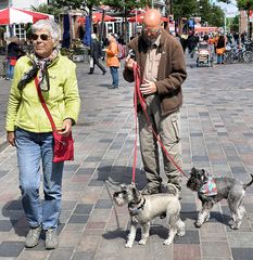 Hundeleben in Rostock