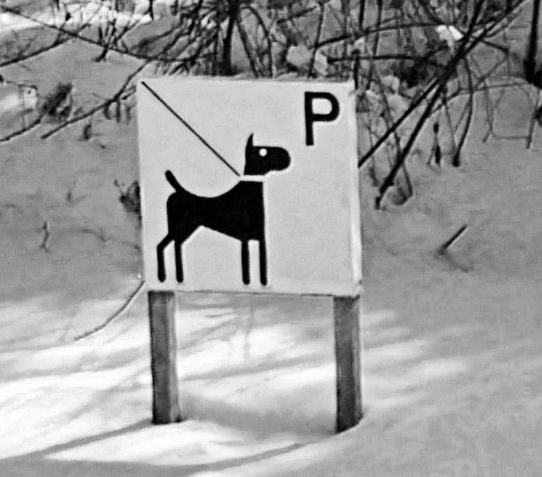 ...Hundeparkplatz...