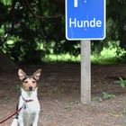 Hundeparkplatz