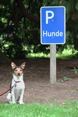 Hundeparkplatz