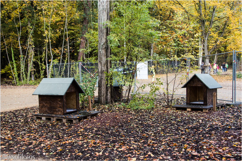 Hundeparkplatz