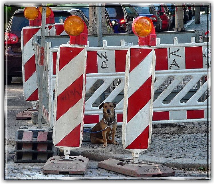 Hundeparkplatz