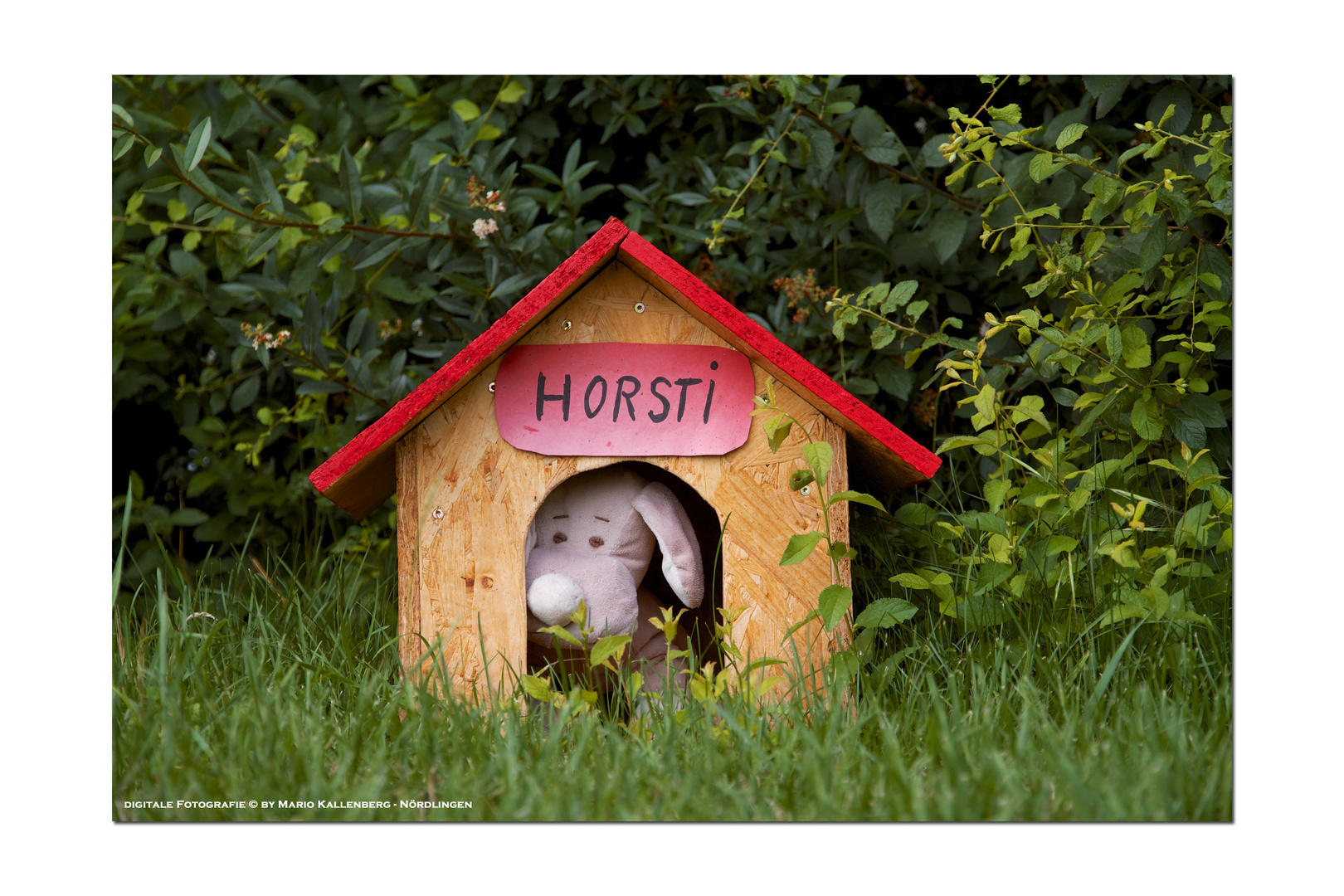 Hundeplatz-Maskottchen