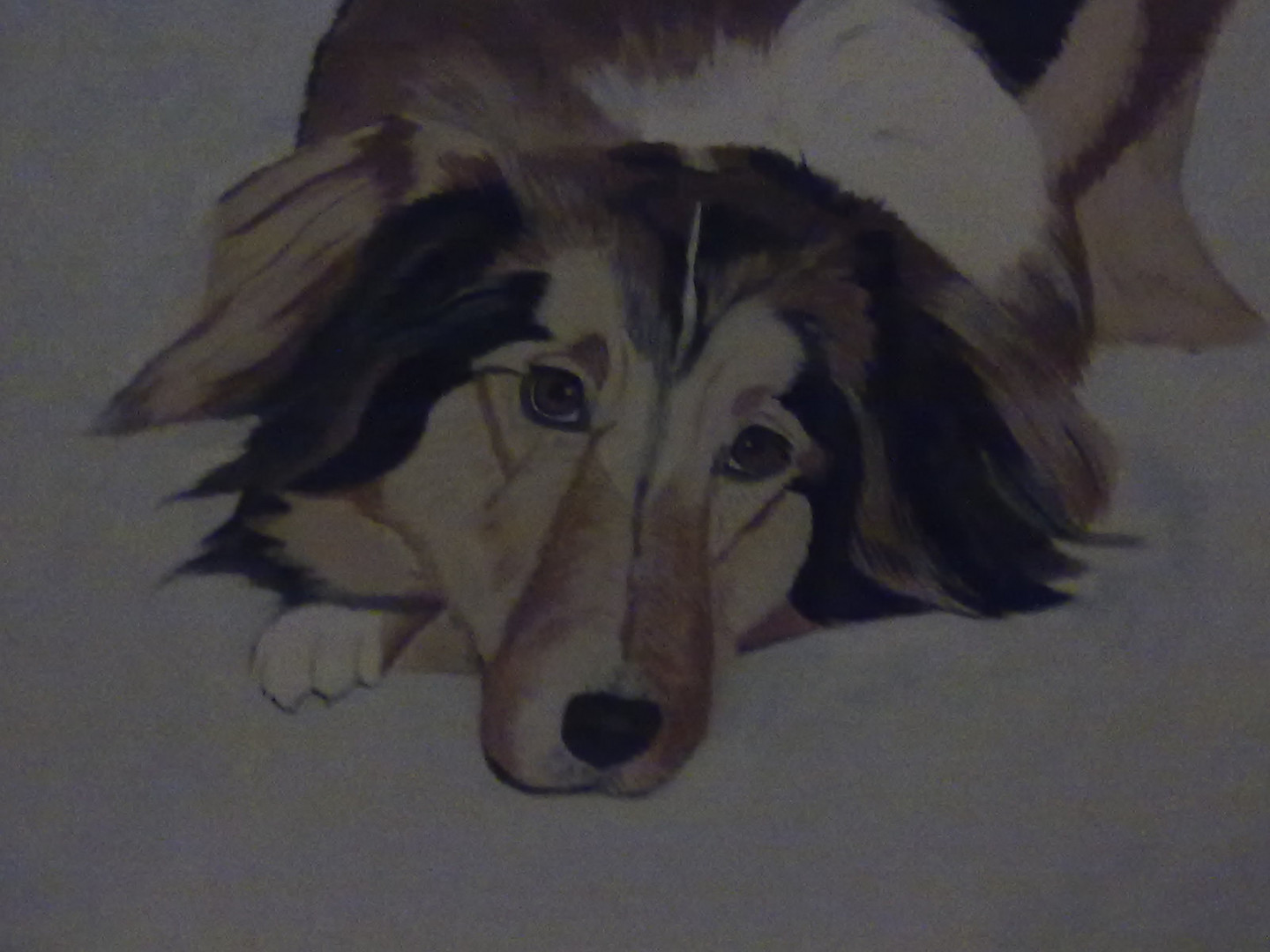 Hundeportrait gemalt in Acyl nach Foto