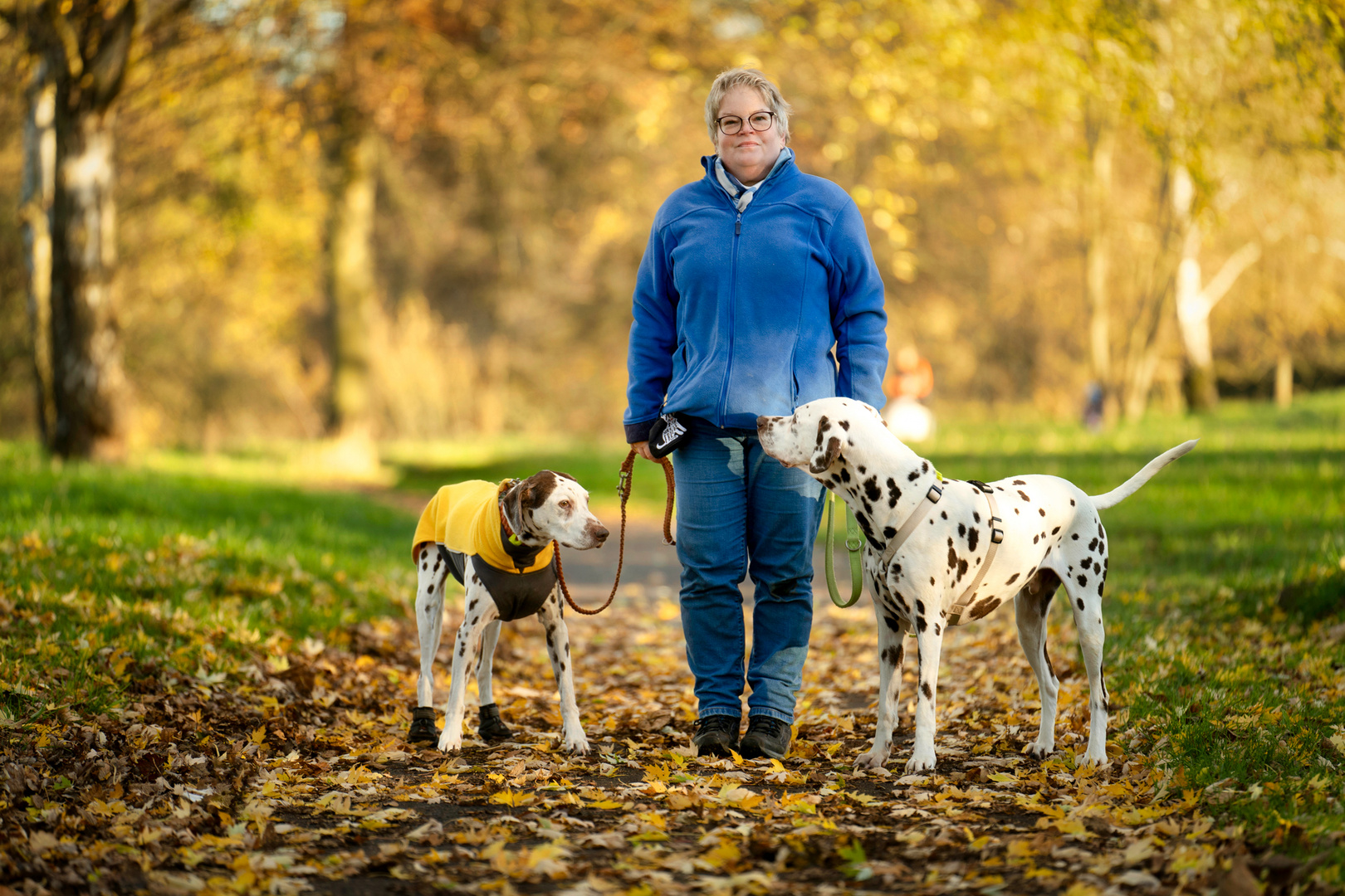 Hundeportrait Shooting 