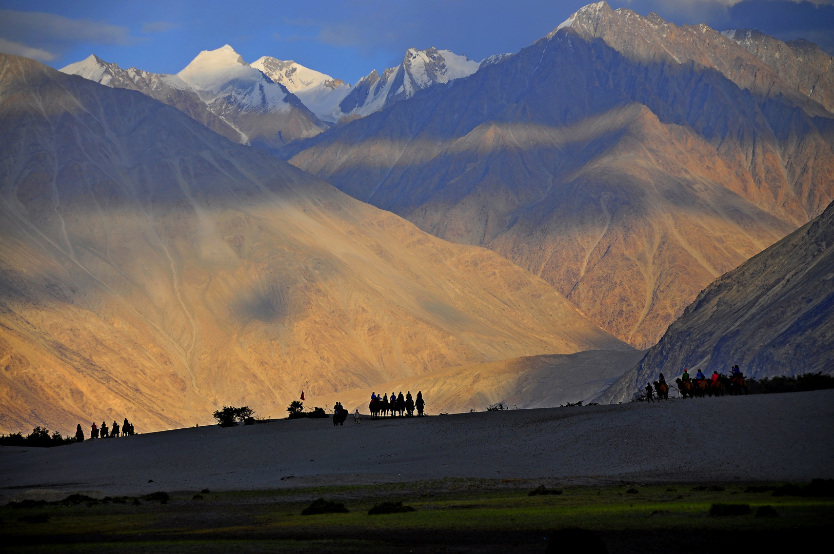 Hunder Nubra Valley / Ladakh