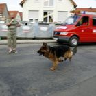 Hunderennen