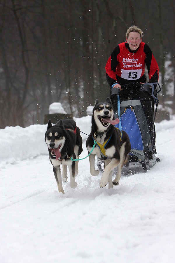 Hunderennen Braunlage