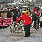 Hunderennen in Westernstadt Pullman City