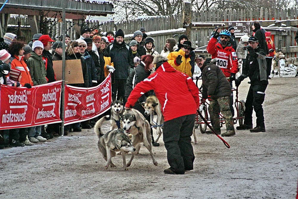 Hunderennen in Westernstadt Pullman City