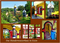 Hundertfarben - Hundertfreuden - Hundertwasser