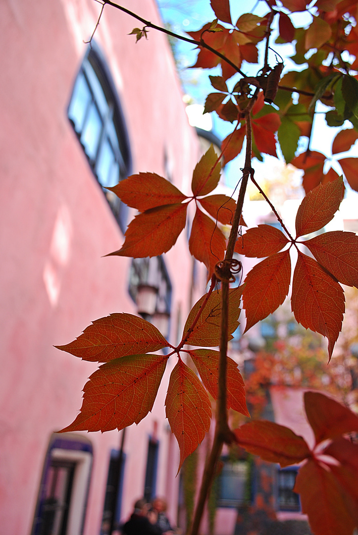 Hundertwasserhaus in Magdeburg... 4