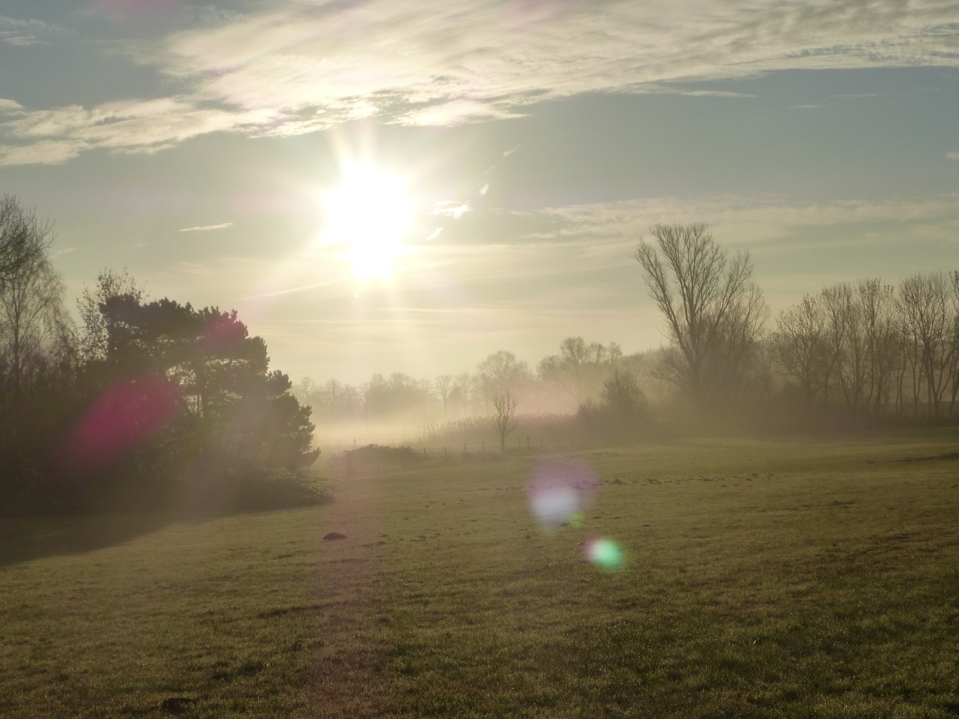 Hunderunde 2