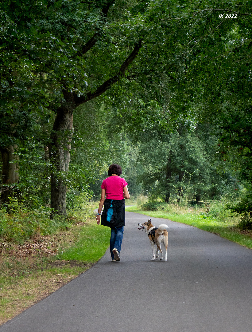 Hunderunde....