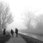 Hunderunde am Neujahrstag