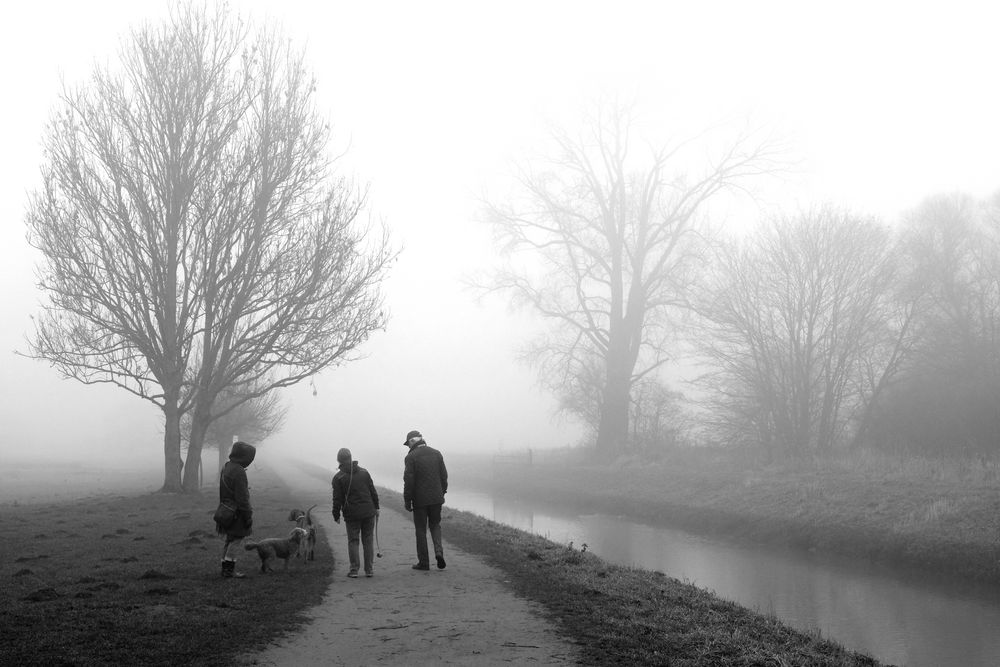 Hunderunde am Neujahrstag