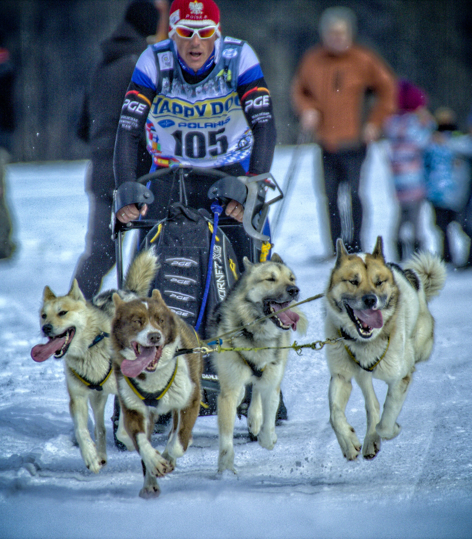 Hundeschlitten-EM 2017 Inzell