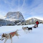 Hundeschlittenfahrten in Val Gardena-Gröden