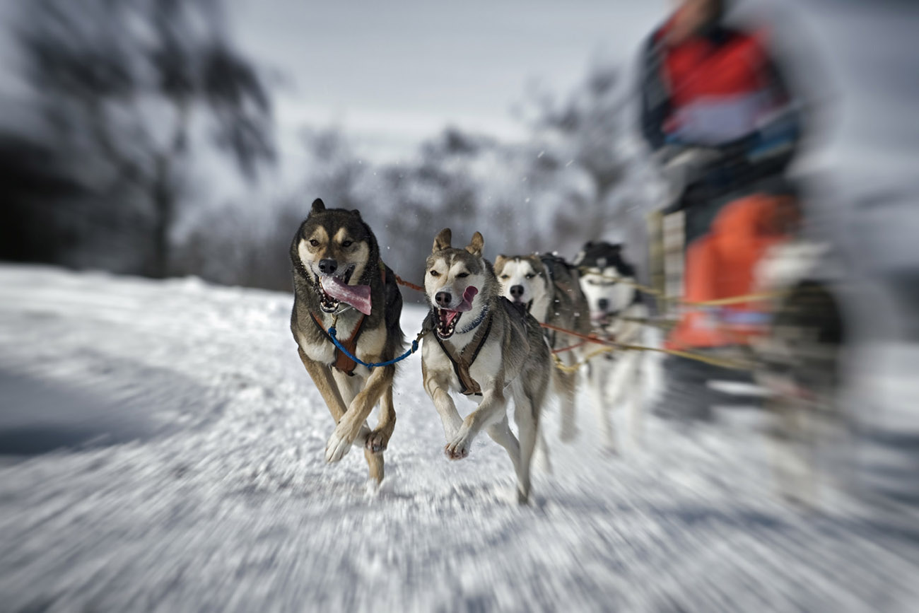  europe, scandinavia, lappland sápmi 