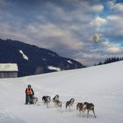 Hundeschlittenrennen im Unterjoch