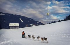 Hundeschlittenrennen im Unterjoch