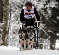 Hundeschlittenrennen in Todtmoos (Schwarzwald) 006