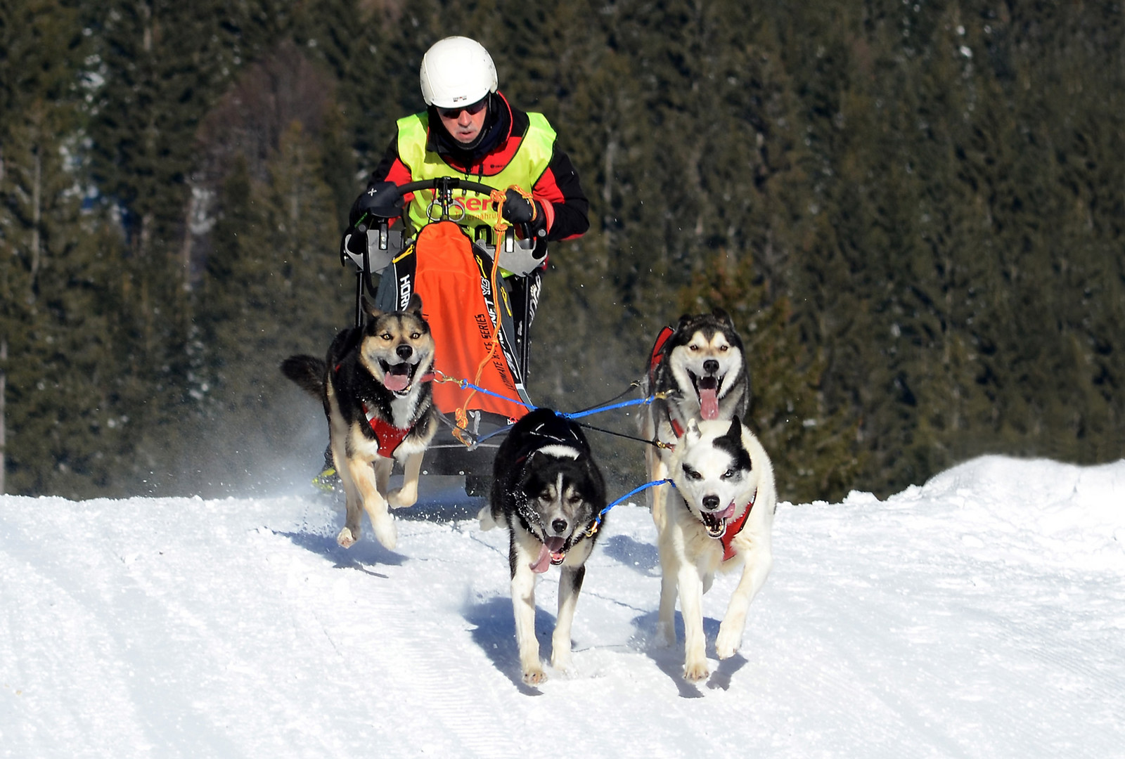 Hundeschlittenrennen Unterjoch 2017