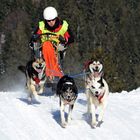 Hundeschlittenrennen Unterjoch 2017