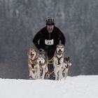 Hundeschlittenrennen Unterjoch 2018