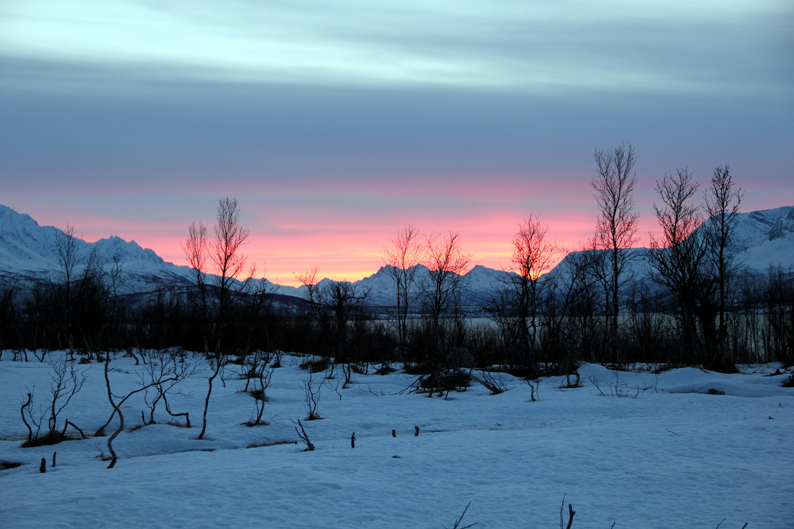 Hundeschlittentour in den Lyngen Alps bei Tromsö