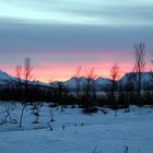 Hundeschlittentour in den Lyngen Alps bei Tromsö